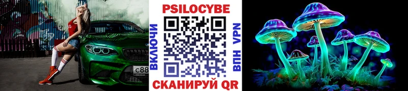 Купить  Староминская  Галлюциногенные грибы Magic Shrooms 